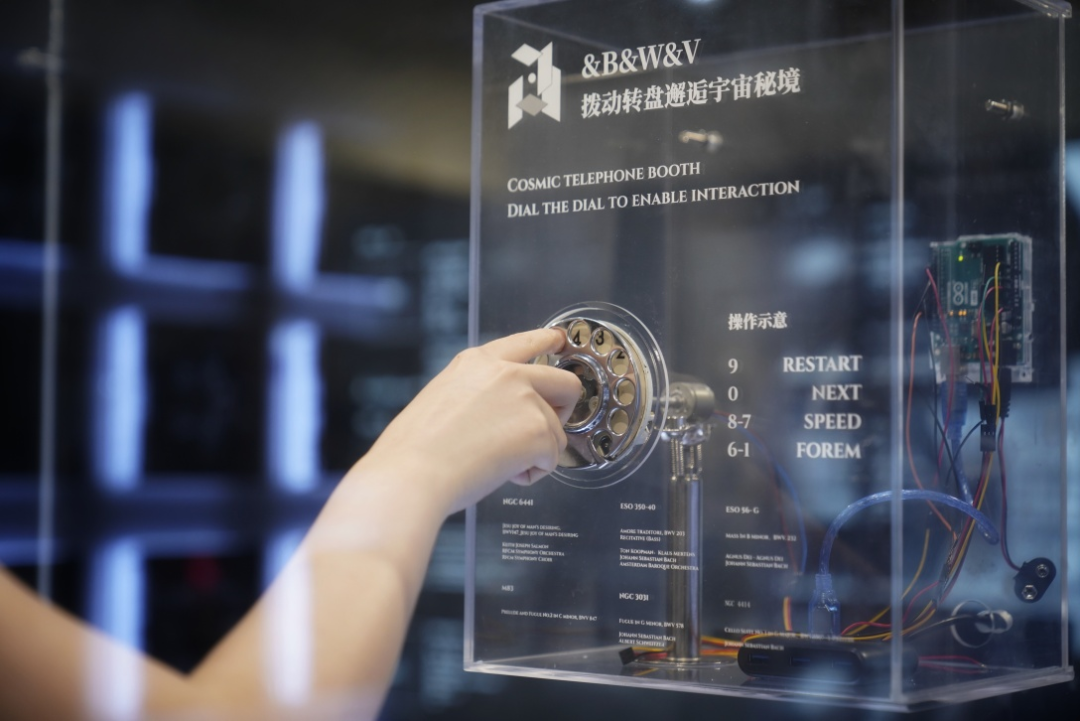 绿金平面设计：自然与艺术的完美融合