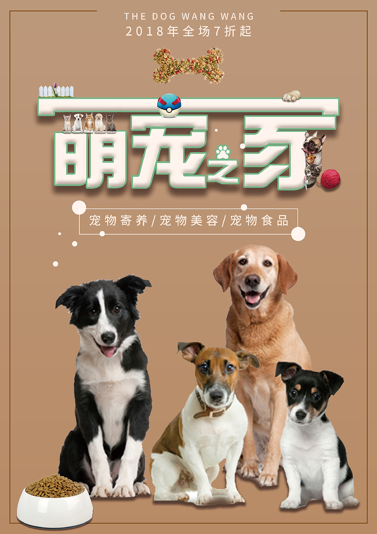 宠物餐桌设计：萌宠美食新天地