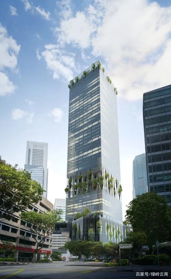 安置区景观平面设计：打造绿色家园的蓝图