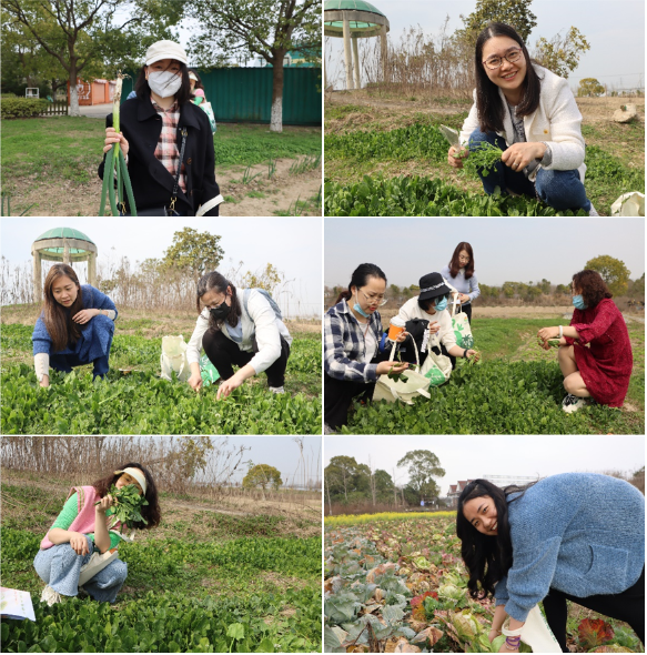 自助采摘园：田园风光中的绿色乐章