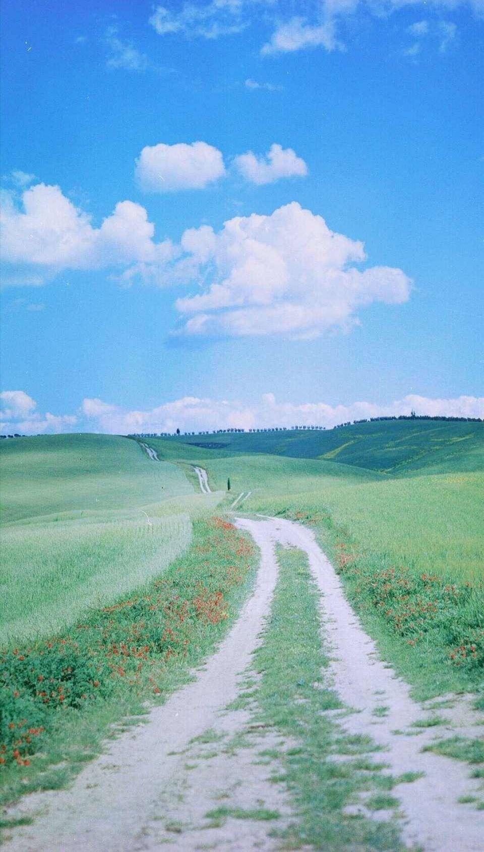 桌布背景平面设计：绘就生活美学新篇章